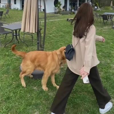 怀特霍尔街上的长筒靴